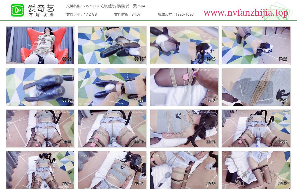 窒物者_吃饭睡觉训狗狗 第二天