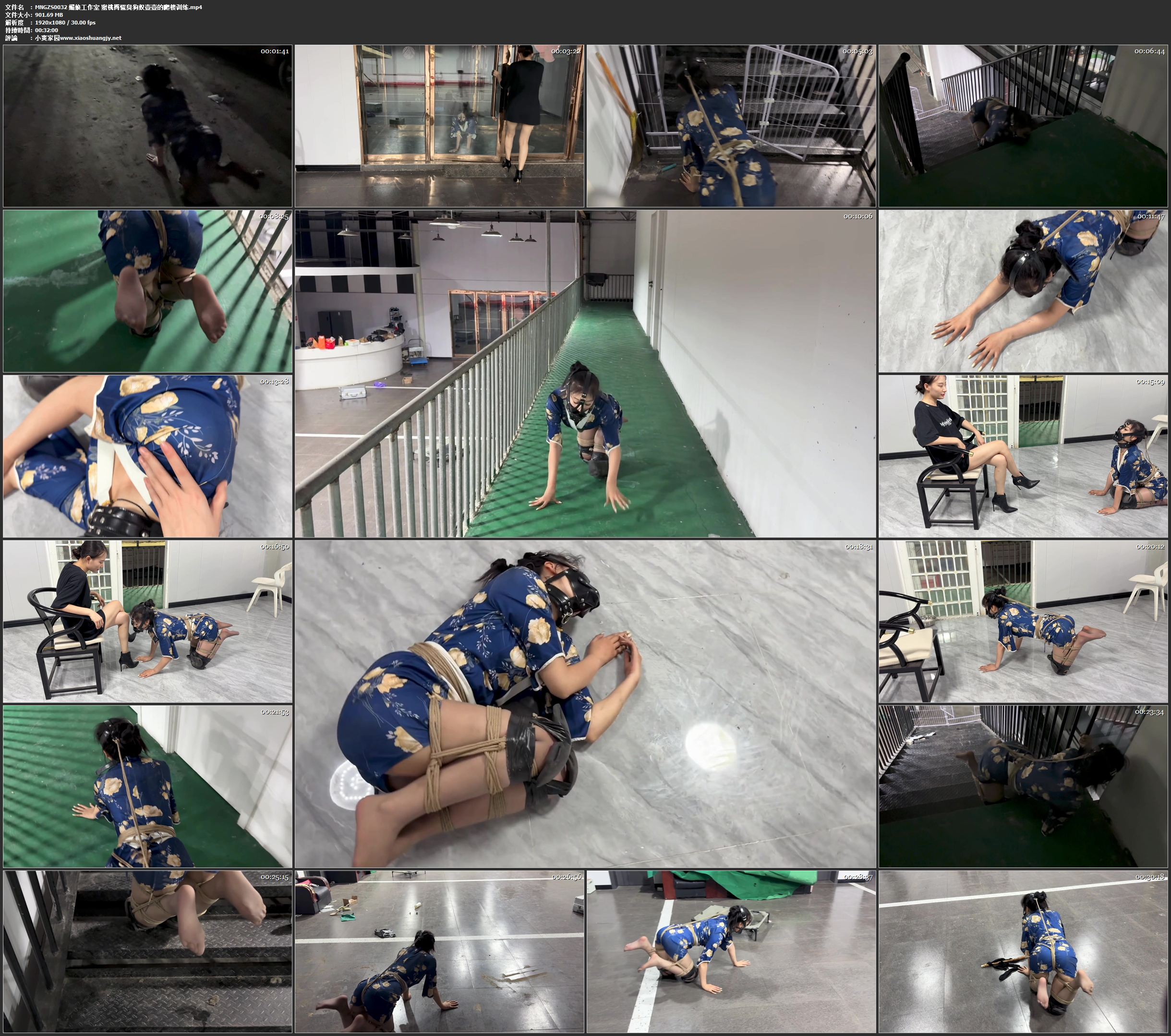 媚娘工作室 蜜桃臀骚臭狗奴壹壹的爬楼训练